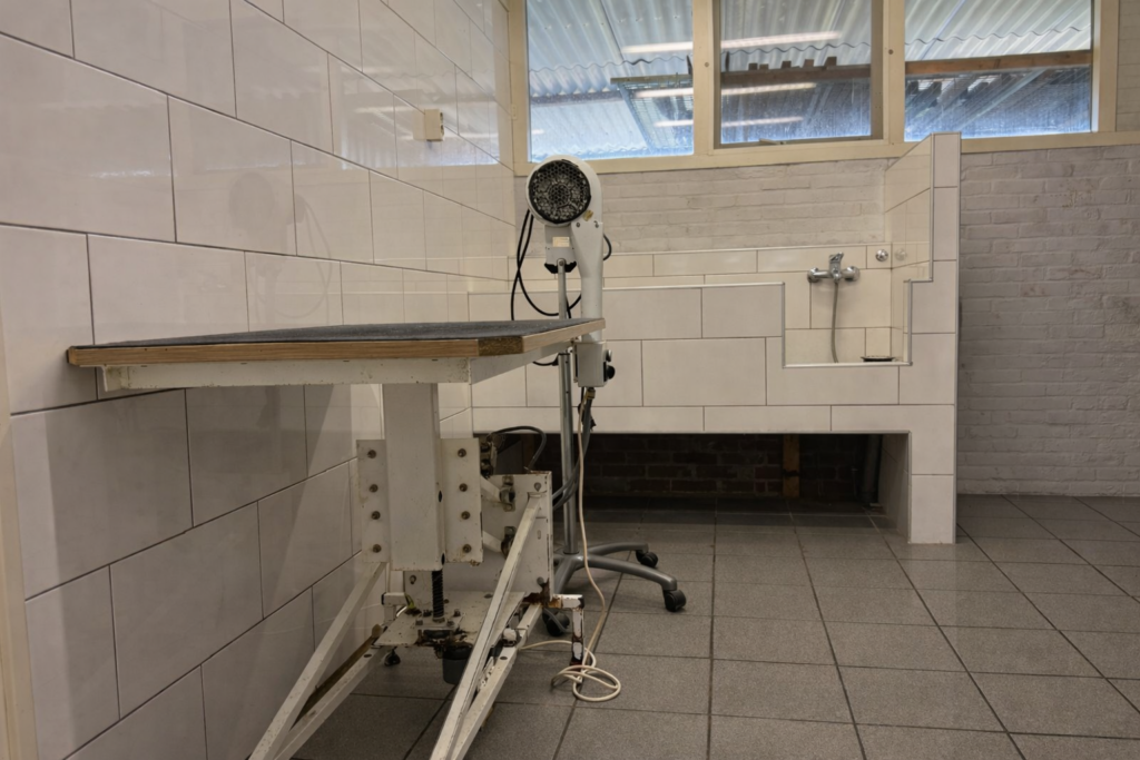 Dierenpension Belle Diertotaal