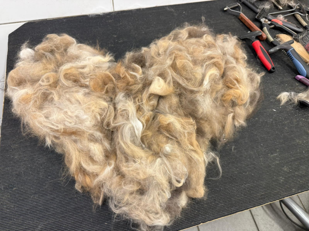 Dierenpension Belle Diertotaal